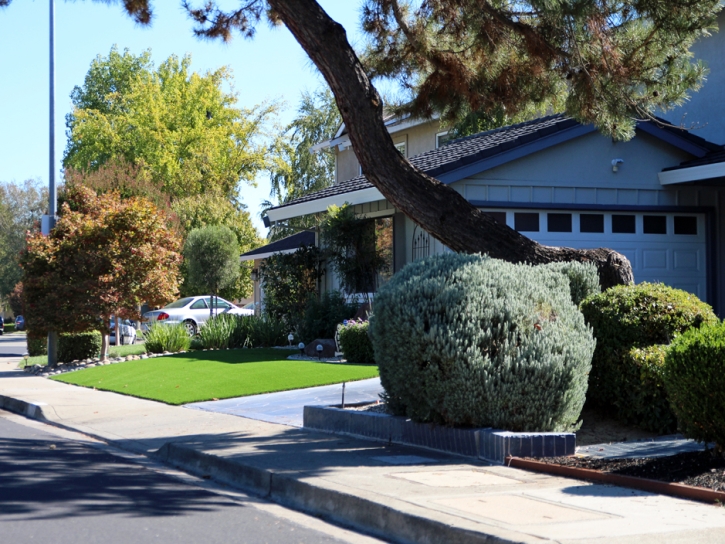 Artificial Grass Installation Rye, Arizona Paver Patio, Front Yard Design