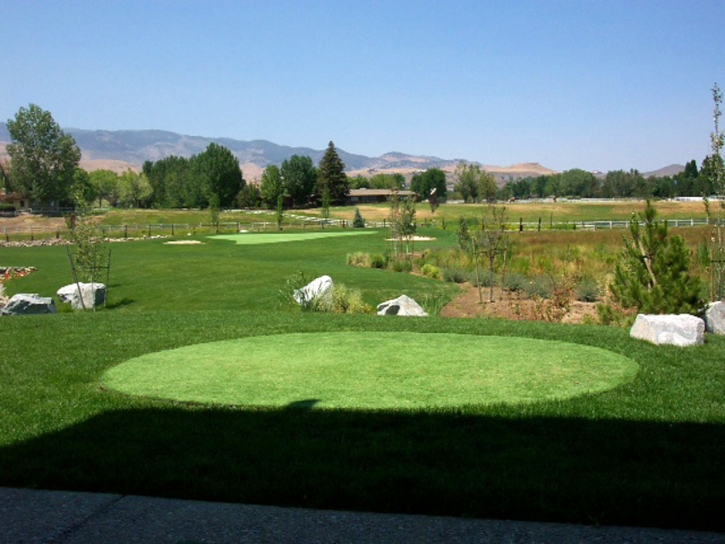 Artificial Grass Installation Santa Cruz, Arizona Putting Green, Backyard Designs