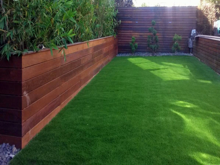 Artificial Grass Installation Tumacacori-Carmen, Arizona Landscaping Business, Backyard Landscaping Ideas