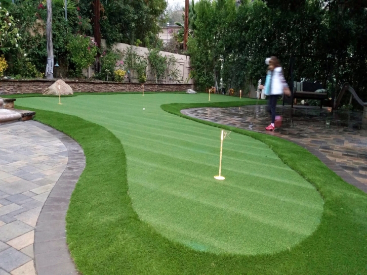 Artificial Grass Lake Havasu City, Arizona Home And Garden, Backyard Landscaping