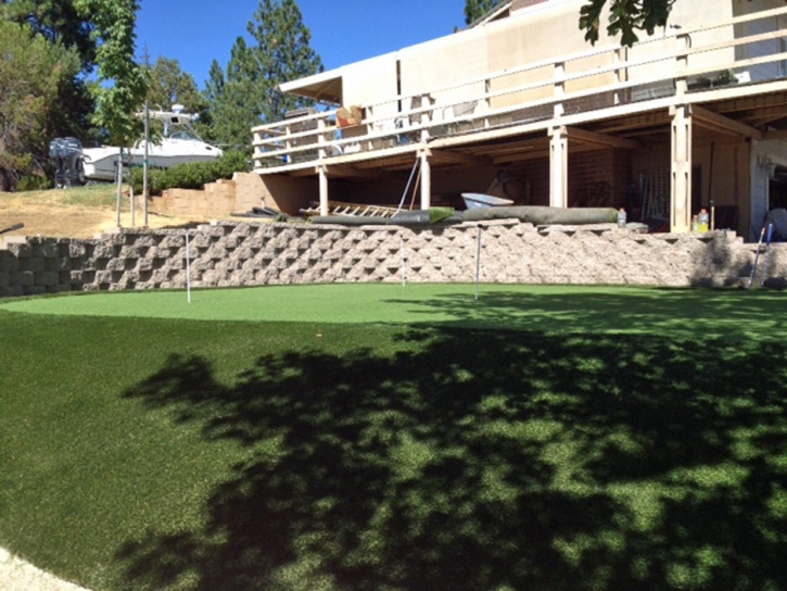 Artificial Grass LeChee, Arizona Putting Green, Backyards