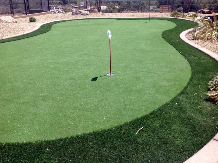 Artificial Grass Spring Valley, Arizona Paver Patio, Backyards