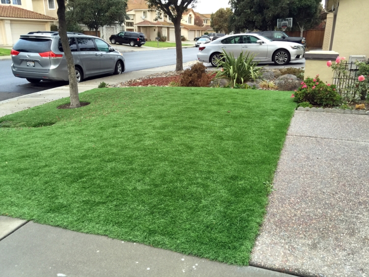 Artificial Grass Tusayan, Arizona Lawns, Front Yard