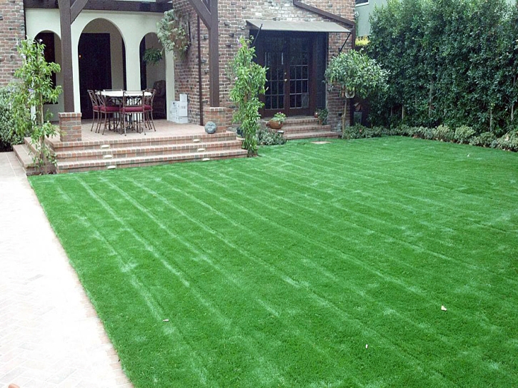 Artificial Lawn Ash Fork, Arizona Roof Top, Front Yard Ideas