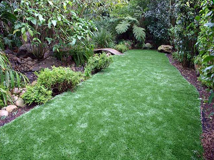 Artificial Lawn Cave Creek, Arizona Landscaping, Backyard