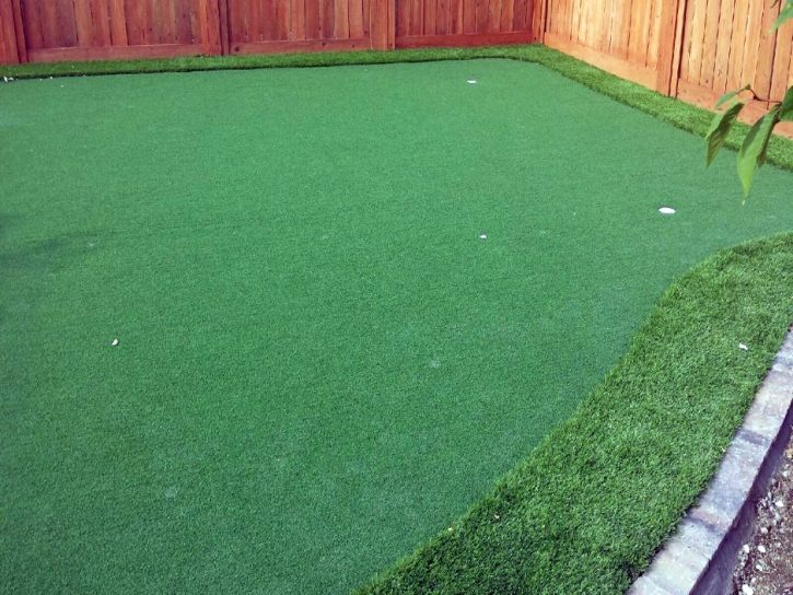 Artificial Lawn Holbrook, Arizona Roof Top, Backyard Ideas