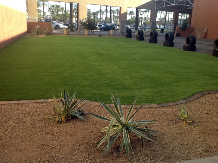 Artificial Lawn Miami, Arizona Rooftop, Commercial Landscape