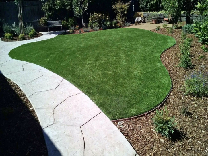 Artificial Lawn Saint David, Arizona Backyard Playground, Front Yard Design