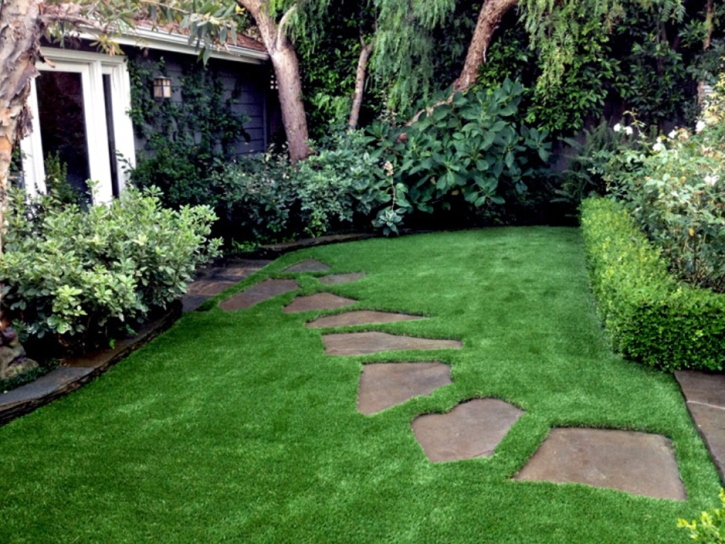 Artificial Lawn Thatcher, Arizona Lawn And Garden, Backyard Design