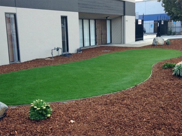 Artificial Lawn Tolani Lake, Arizona Design Ideas, Commercial Landscape