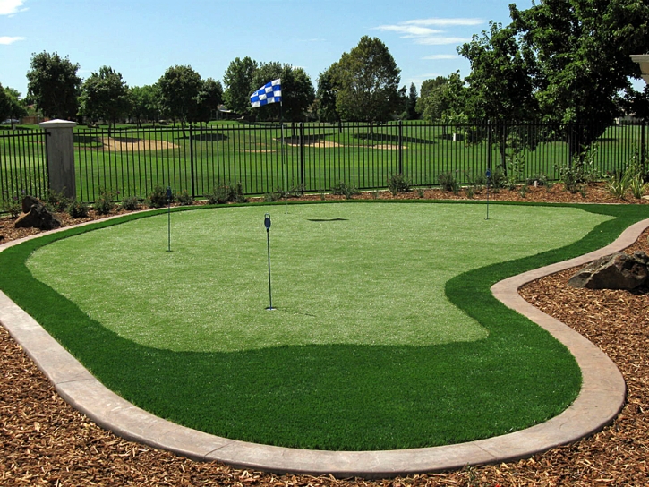 Artificial Lawn Tolleson, Arizona Home And Garden, Backyard