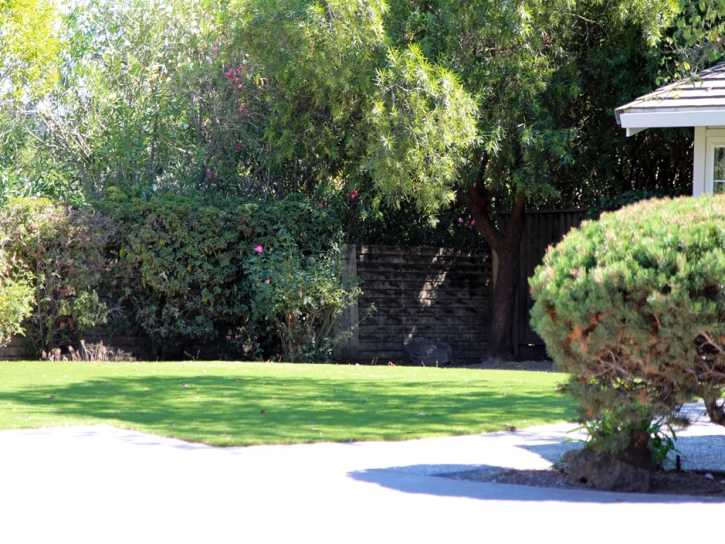 Artificial Lawn Ventana, Arizona Dog Run, Front Yard Landscaping