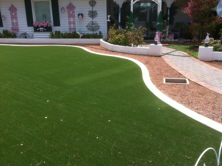 Artificial Lawn Wilhoit, Arizona Roof Top, Front Yard Landscape Ideas