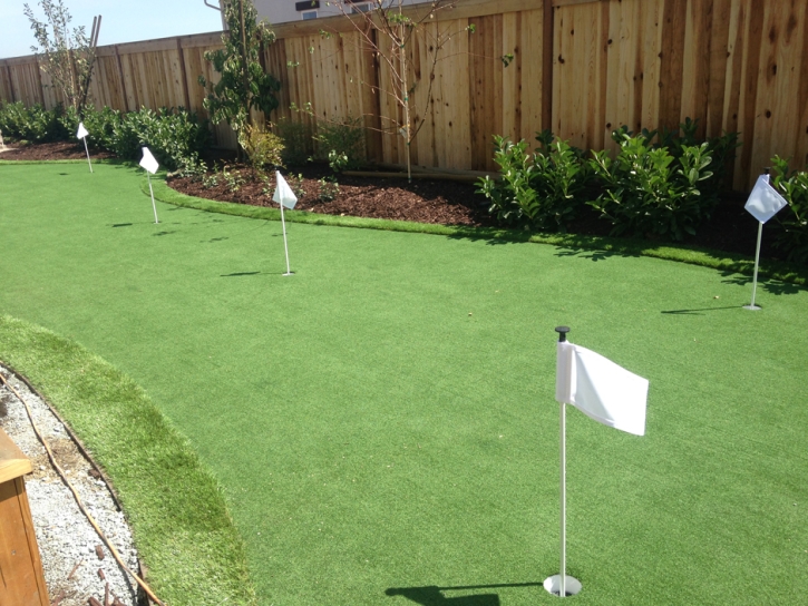 Artificial Turf Canyon Day, Arizona Home And Garden, Backyard Landscaping