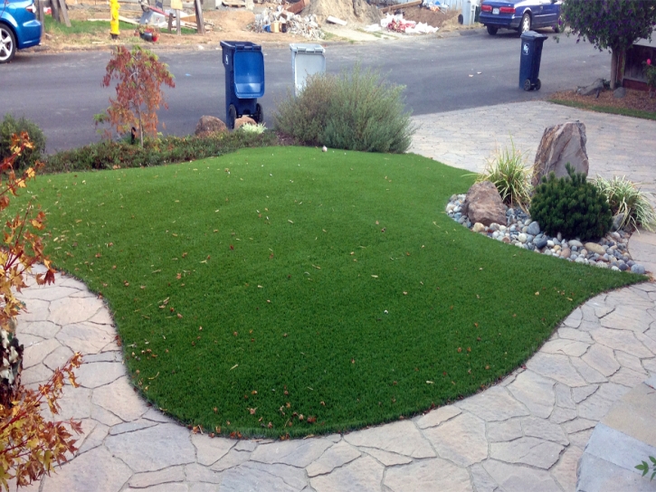 Artificial Turf Cost Cactus Flat, Arizona Home And Garden