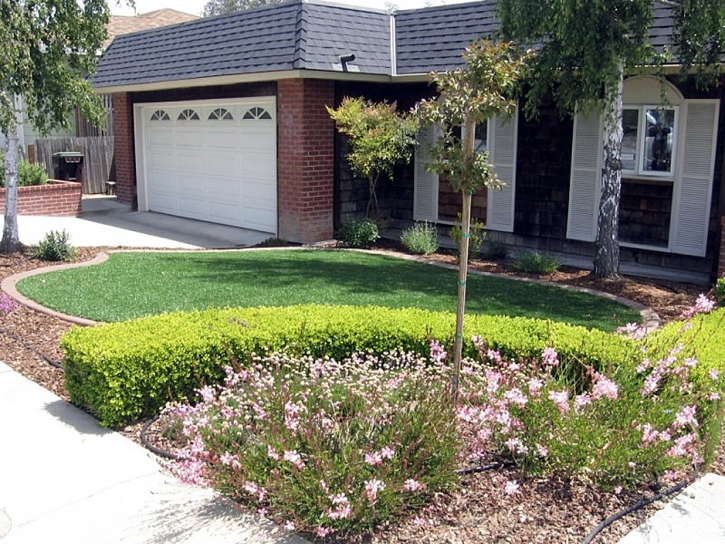 Artificial Turf Cost Carefree, Arizona Backyard Playground, Front Yard