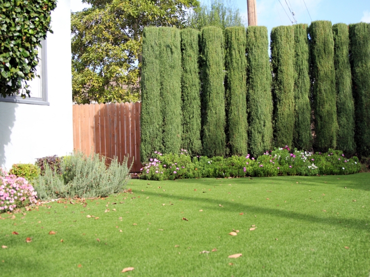 Artificial Turf Cost Chloride, Arizona Gardeners, Front Yard Design