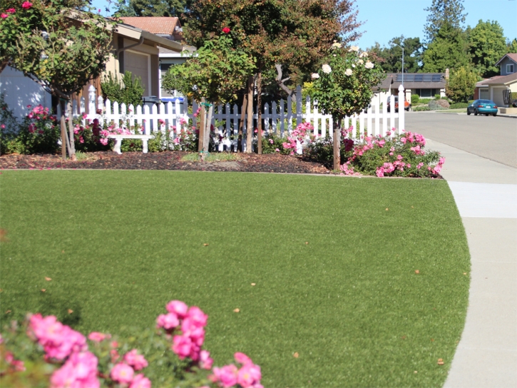 Artificial Turf Cost Dewey-Humboldt, Arizona Lawn And Garden, Small Front Yard Landscaping