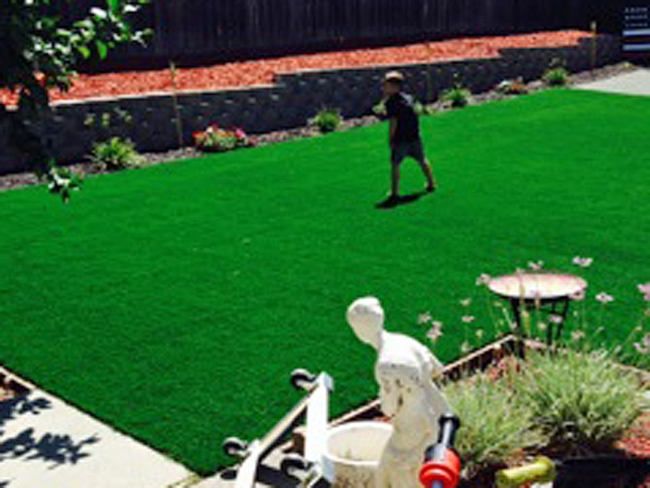 Artificial Turf Cost Hotevilla-Bacavi, Arizona Paver Patio, Backyard Makeover