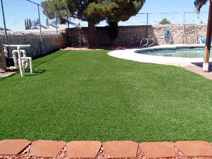 Artificial Turf Cost Kino Springs, Arizona Landscaping, Kids Swimming Pools