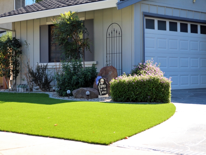 Artificial Turf Cost Payson, Arizona Landscape Photos, Front Yard