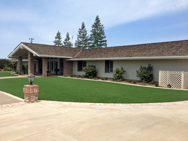 Artificial Turf Cost Sells, Arizona Garden Ideas, Front Yard Design