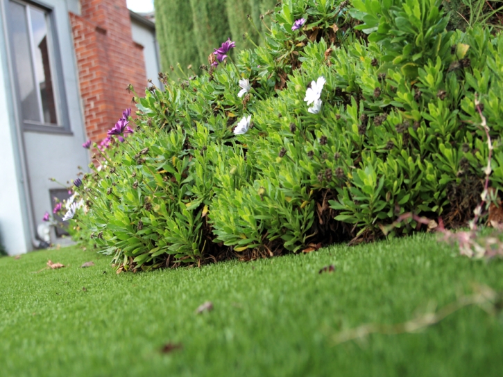 Artificial Turf Cost Truxton, Arizona Rooftop, Small Front Yard Landscaping