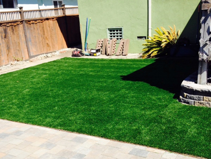 Artificial Turf Dolan Springs, Arizona Lawns, Backyard Landscaping