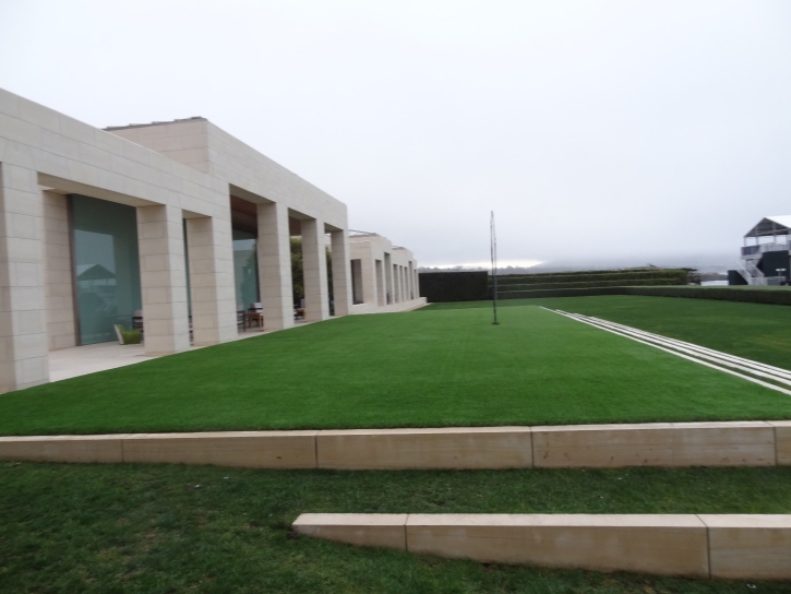 Artificial Turf El Mirage, Arizona Design Ideas, Commercial Landscape