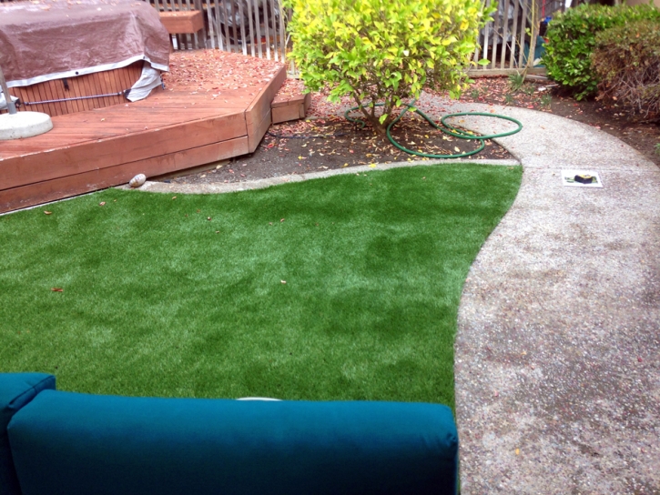 Artificial Turf Installation Clifton, Arizona Landscape Photos, Backyard Landscaping