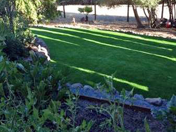 Artificial Turf Installation Sanders, Arizona Landscape Ideas, Backyard Ideas