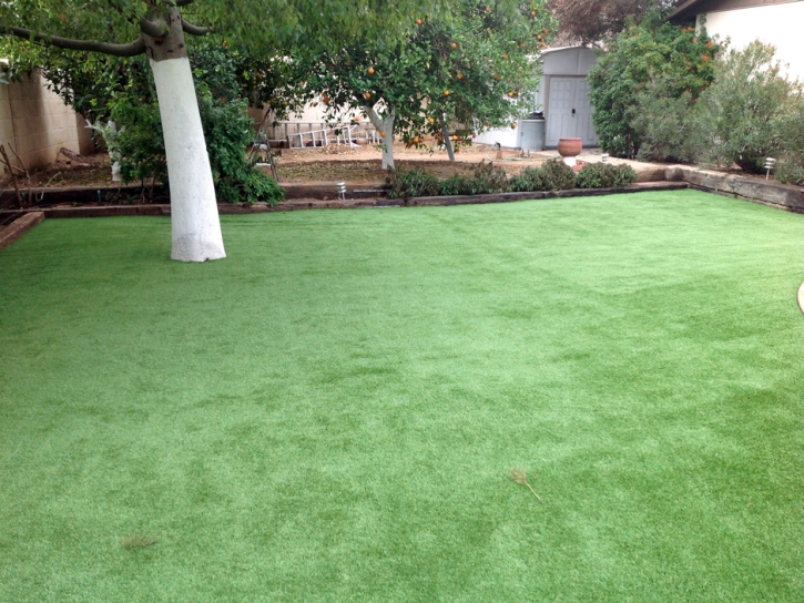 Artificial Turf New River, Arizona Paver Patio, Backyard Design