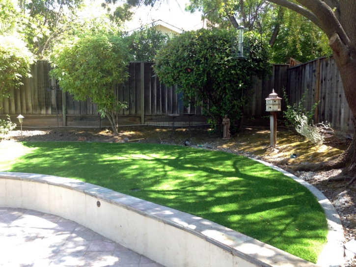 Artificial Turf Paulden, Arizona Backyard Playground, Commercial Landscape