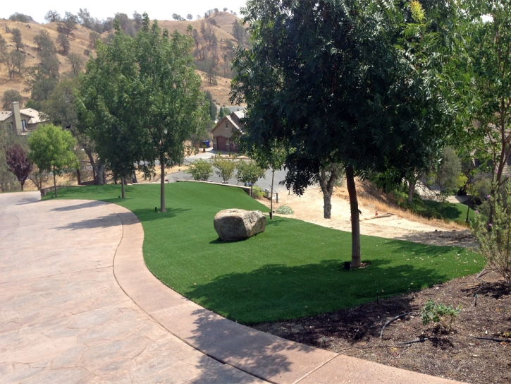 Artificial Turf Summerhaven, Arizona Roof Top, Front Yard Landscaping Ideas