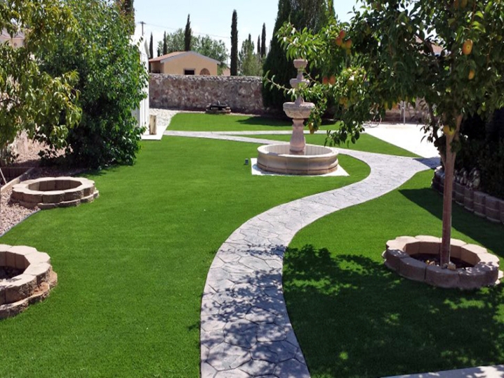 Best Artificial Grass Alpine, Arizona Gardeners, Beautiful Backyards