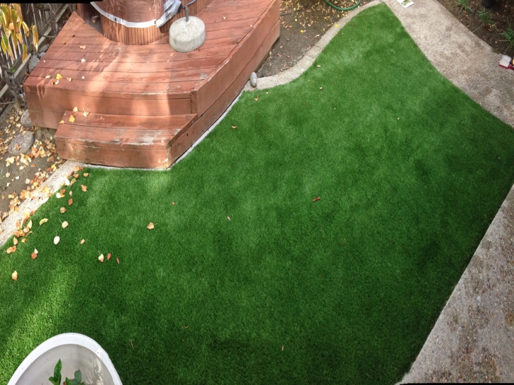 Best Artificial Grass Cameron, Arizona Landscape Rock, Beautiful Backyards