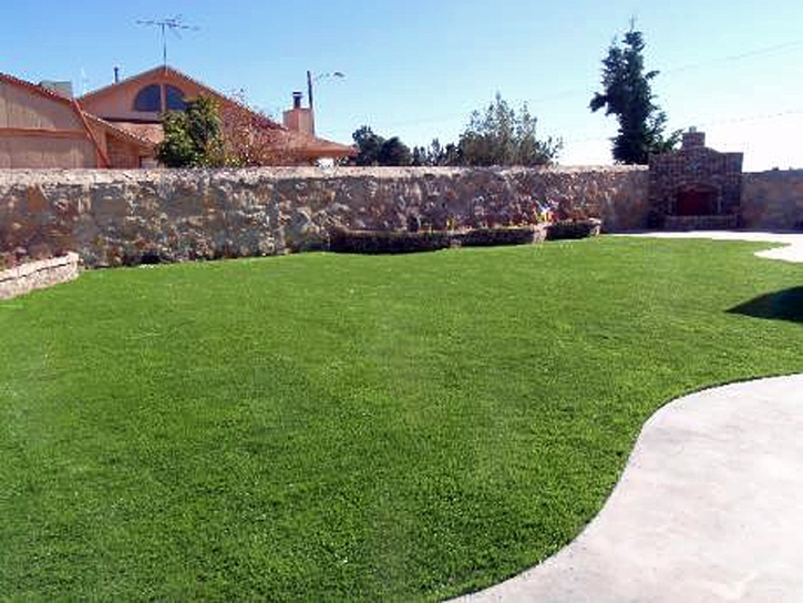 Best Artificial Grass Gadsden, Arizona Backyard Deck Ideas, Backyard Design