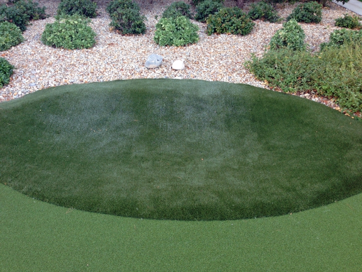 Best Artificial Grass Mammoth, Arizona Backyard Playground