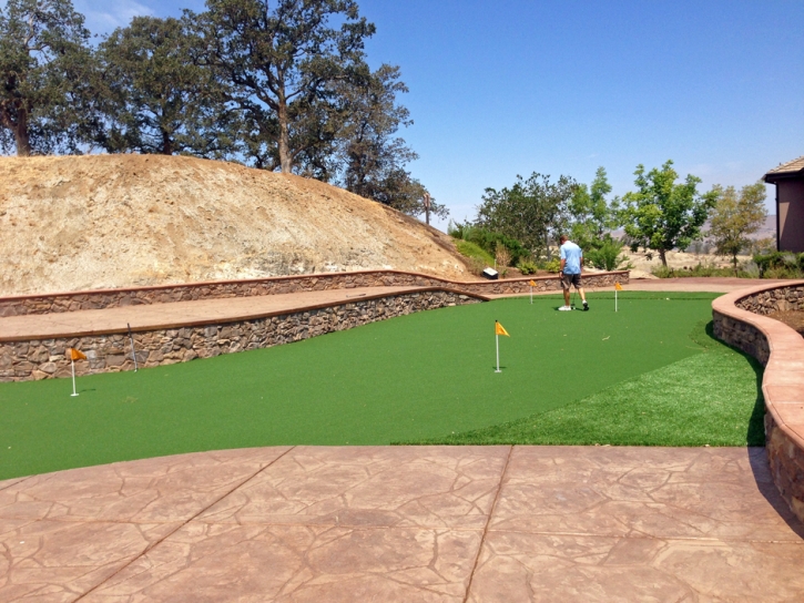 Best Artificial Grass McNeal, Arizona Garden Ideas, Backyard Designs