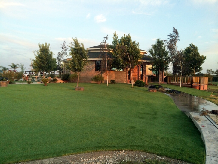 Best Artificial Grass Payson, Arizona Garden Ideas, Commercial Landscape