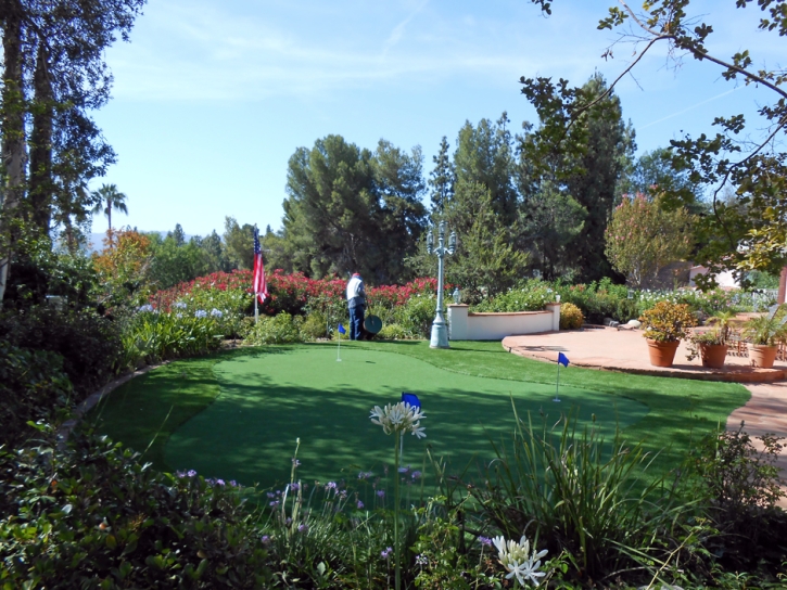 Best Artificial Grass Shungopavi, Arizona Putting Green Grass, Backyard Makeover