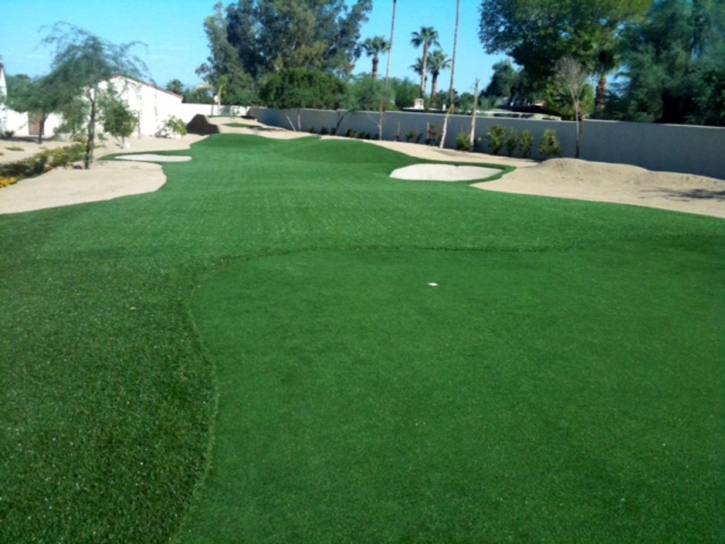 Best Artificial Grass Whiteriver, Arizona Diy Putting Green