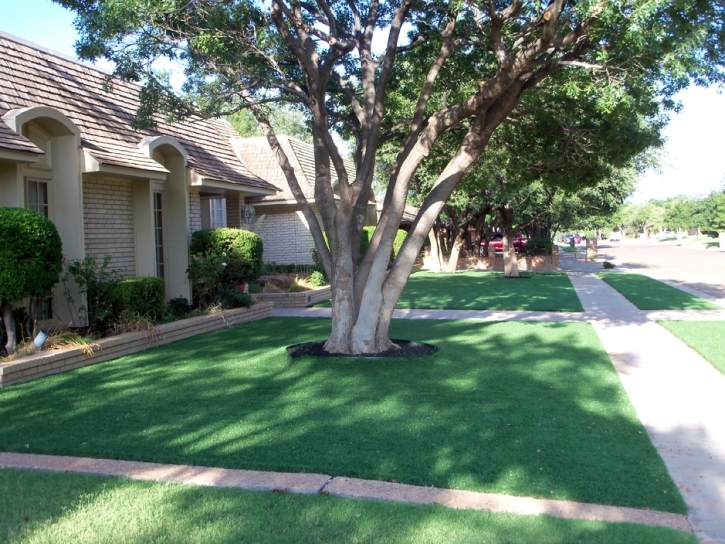 Fake Grass Arivaca Junction, Arizona Lawn And Landscape, Front Yard Landscape Ideas