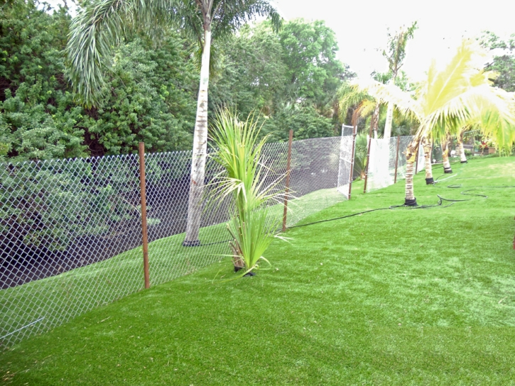 Fake Grass Benson, Arizona Lawn And Landscape, Backyard Design