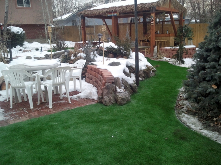 Fake Grass Carpet Ak-Chin Village, Arizona Backyard Playground, Small Backyard Ideas