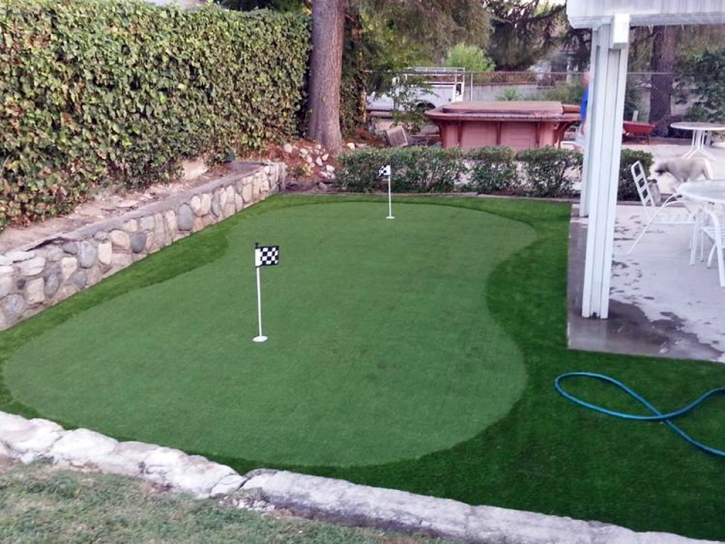 Fake Grass Carpet Avra Valley, Arizona Artificial Putting Greens, Backyard Landscaping