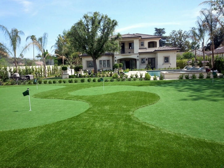 Fake Grass Carpet Cibola, Arizona City Landscape, Front Yard