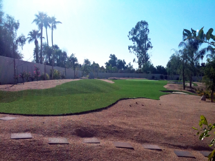 Fake Grass Carpet East Fork, Arizona Landscape Ideas, Backyard