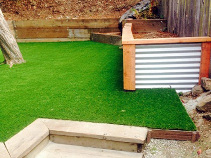 Fake Grass Carpet Glendale, Arizona Lawn And Landscape, Backyard Designs