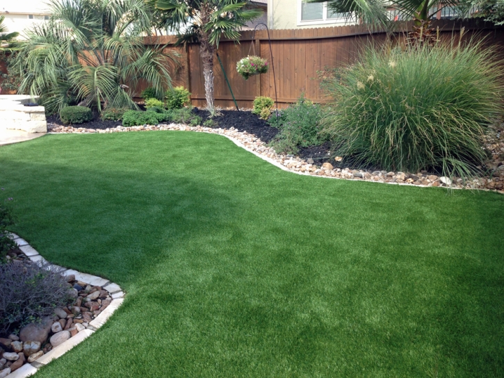 Fake Grass Carpet Grand Canyon Village, Arizona Dog Hospital, Backyard